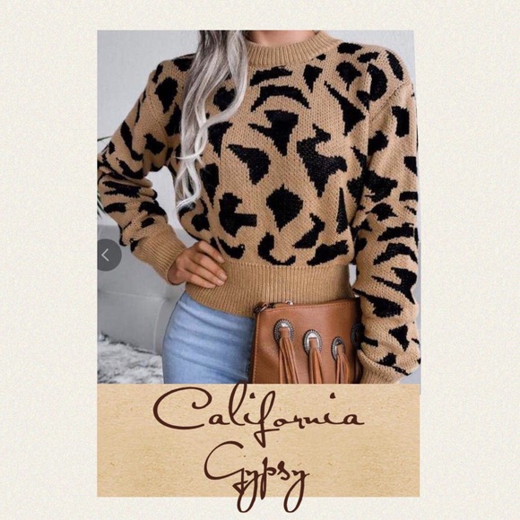 UNBRANDED BOUTIQUE Sweaters - Leopard Knit Sweater